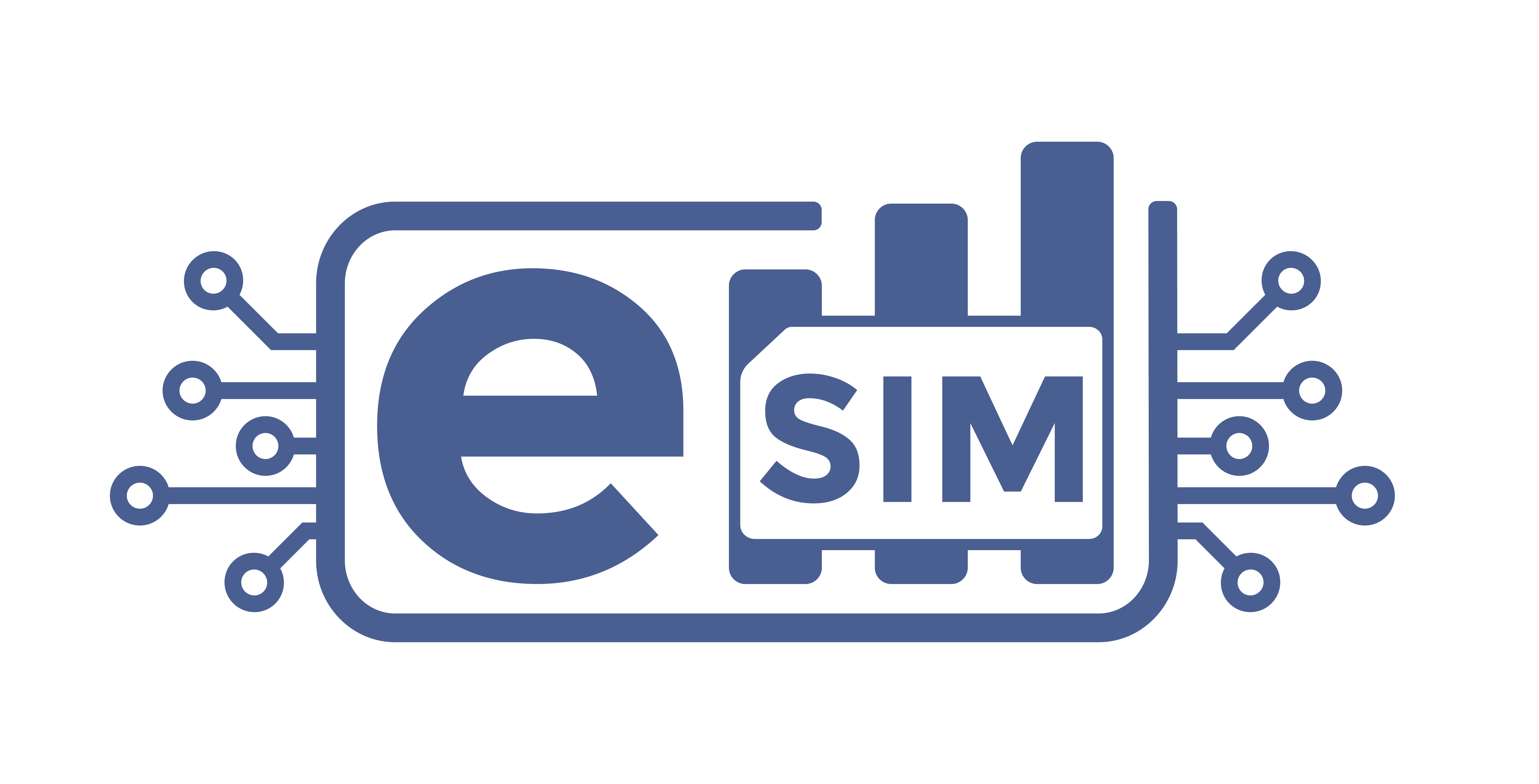 Best eSim USA Official Logo